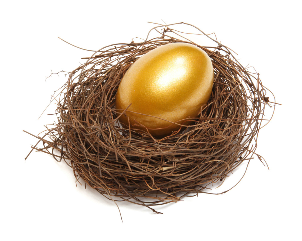 nestegg Photo : Five Ways to Draw Retirement Income nestegg Five Ways to Draw Retirement Income