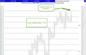 live cattle trip 300x191 Photo : Commodities Corner: Live Cattle vs. Cotton A Tale of Two Tapes live cattle trip 300x191 Commodities Corner: Live Cattle vs. Cotton A Tale of Two Tapes